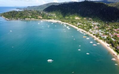 Discover the Unrivaled Charm of San Vicente, Palawan: A Paradise of Beachfront Properties for Sale